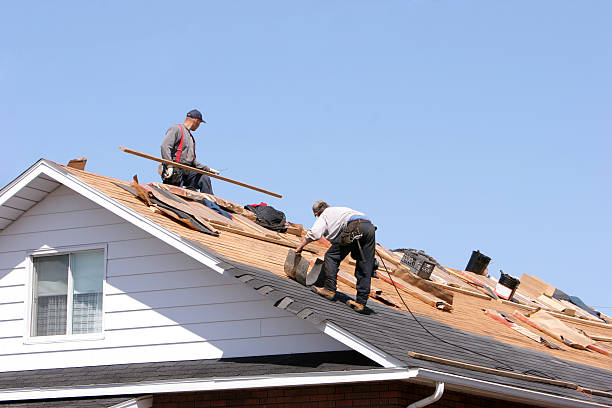 Best Roof Maintenance and Cleaning  in Holts Summit, MO